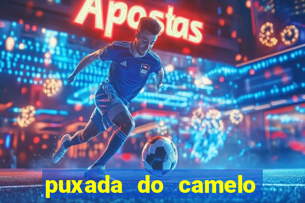 puxada do camelo jogo do bicho