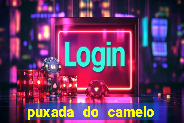 puxada do camelo jogo do bicho