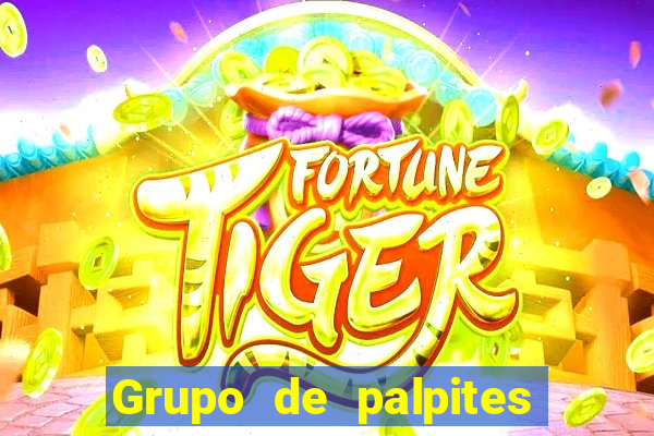 Grupo de palpites de futebol gratis