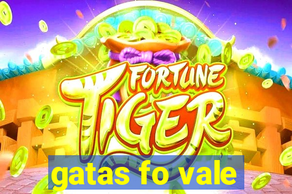 gatas fo vale