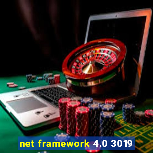 net framework 4.0 3019