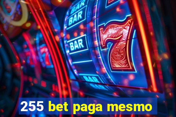 255 bet paga mesmo