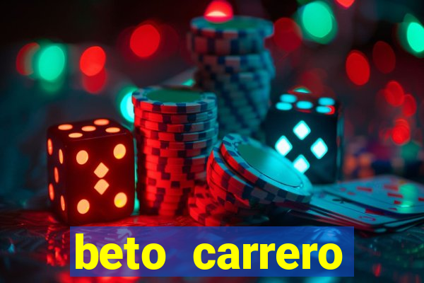 beto carrero cidades proximas