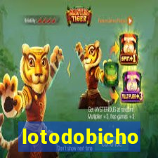 lotodobicho