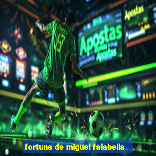 fortuna de miguel falabella