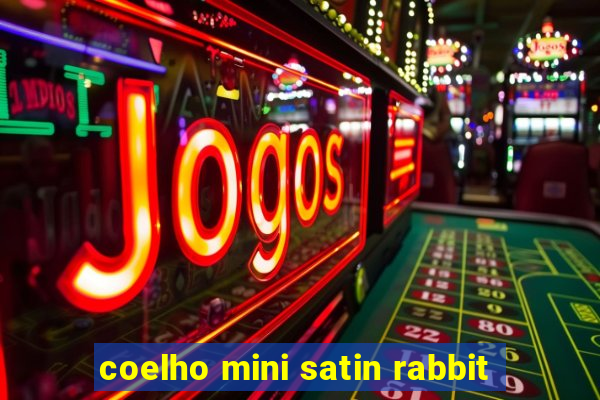 coelho mini satin rabbit