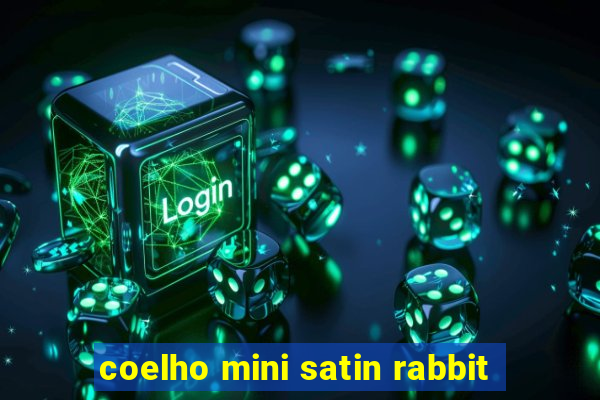 coelho mini satin rabbit