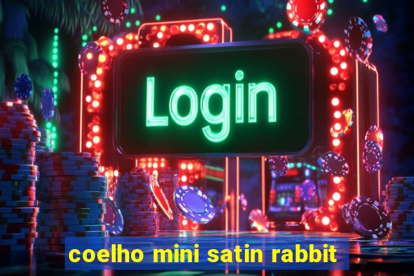 coelho mini satin rabbit