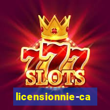 licensionnie-casino.ru