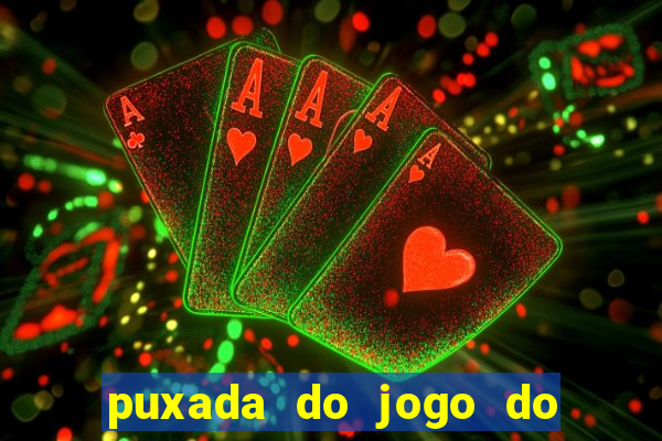 puxada do jogo do bicho da sueli