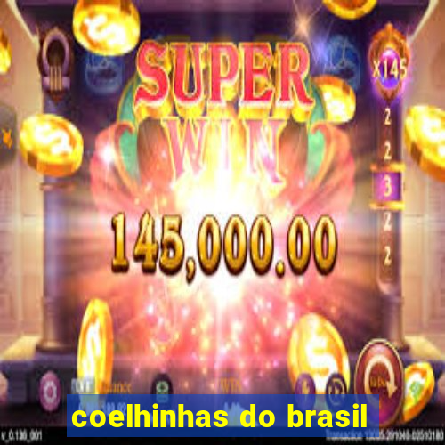 coelhinhas do brasil