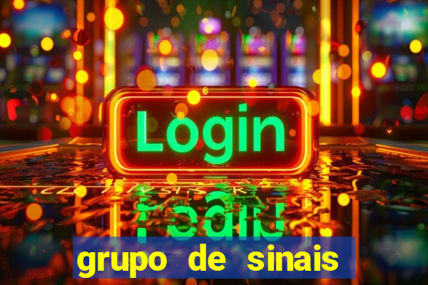 grupo de sinais fortune rabbit