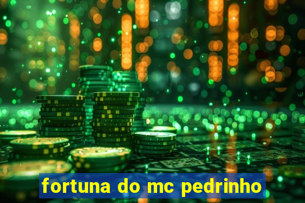 fortuna do mc pedrinho