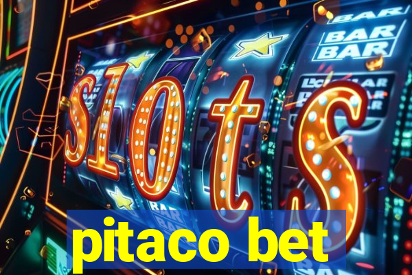 pitaco bet