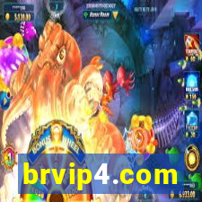 brvip4.com