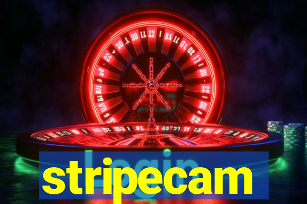 stripecam