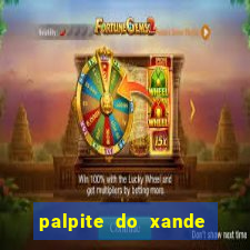 palpite do xande para hoje