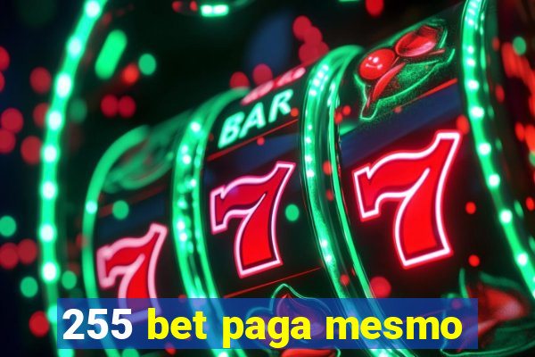 255 bet paga mesmo